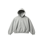 HOODIE FRENCH TERRY GRIS