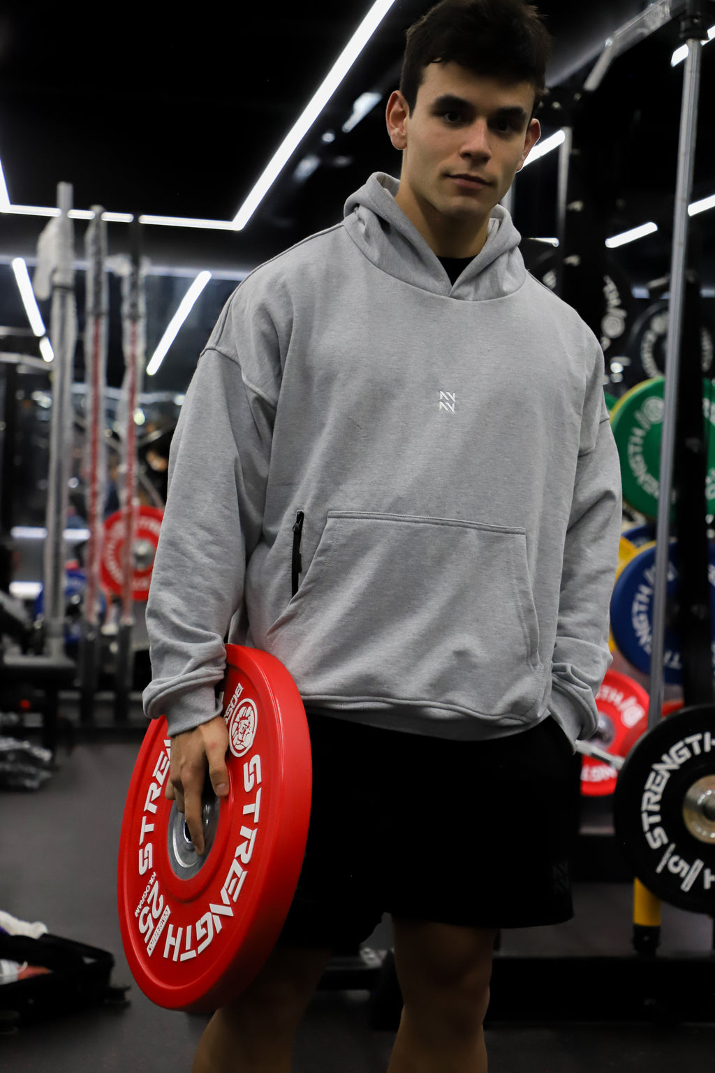 HOODIE FRENCH TERRY GRIS